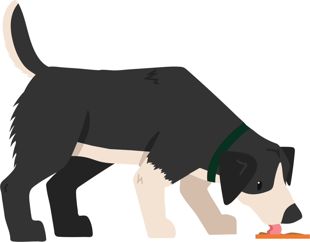 Illustration of black and white dog licking an orange lick mat