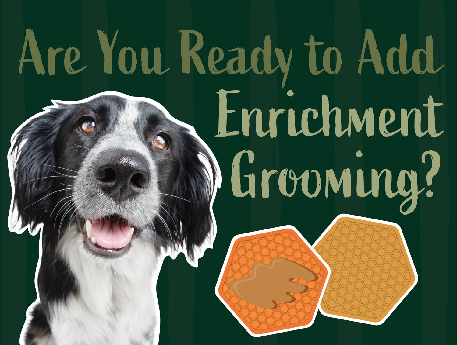 Are you ready to add enrichment grooming? title typography