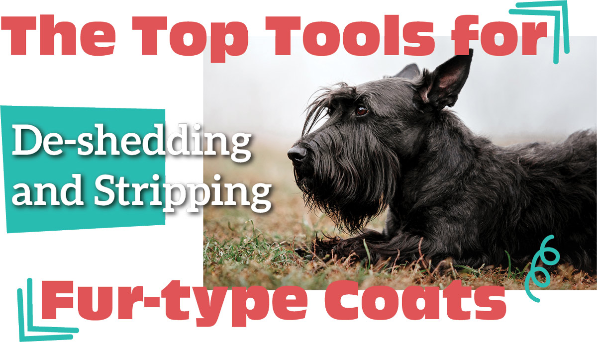 The Top Tools for De-shedding and Stripping Fur-type coats