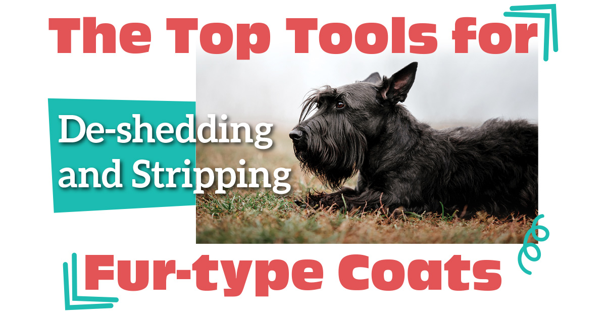 Curated visual reference: Visual Reference: The Top Tools For De Shedding And Stripping Fur Type