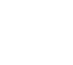 Andis logo white