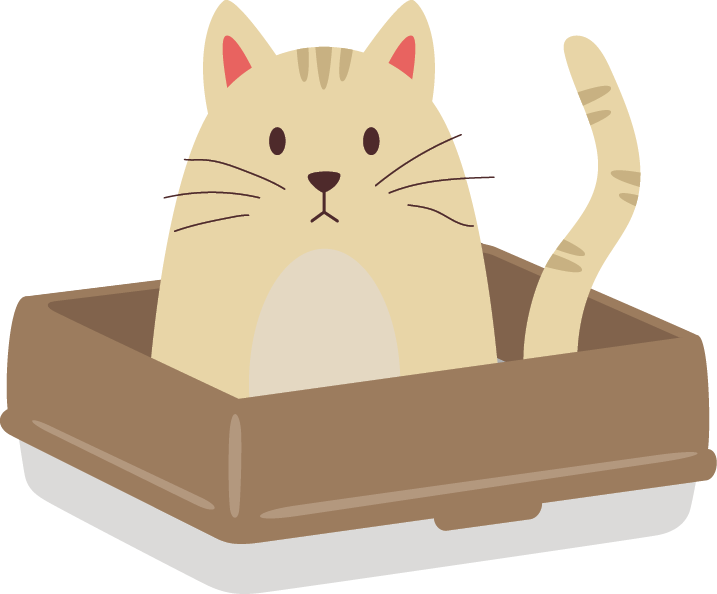Illustration of yellow cat in brown litter box