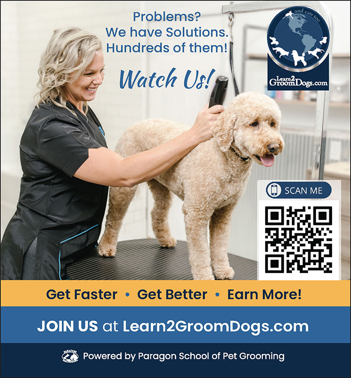 Paragon School of Pet Grooming Advertisement