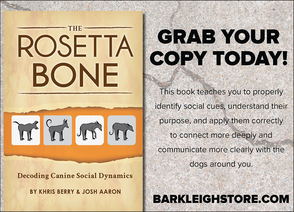 The Rosetta Bone Advertisement