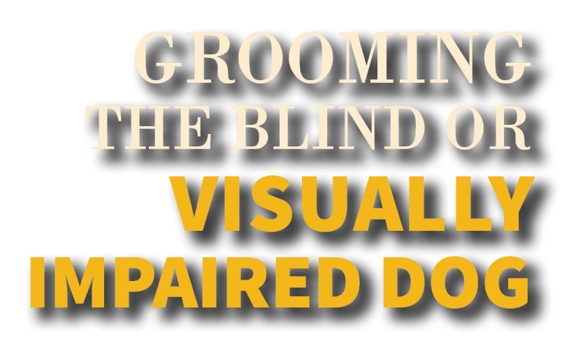 Groom the Blind or Visually Impaired Dog