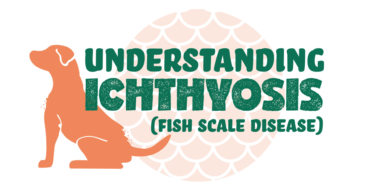 Understanding Ichthyosis (Fish Scale Disease)