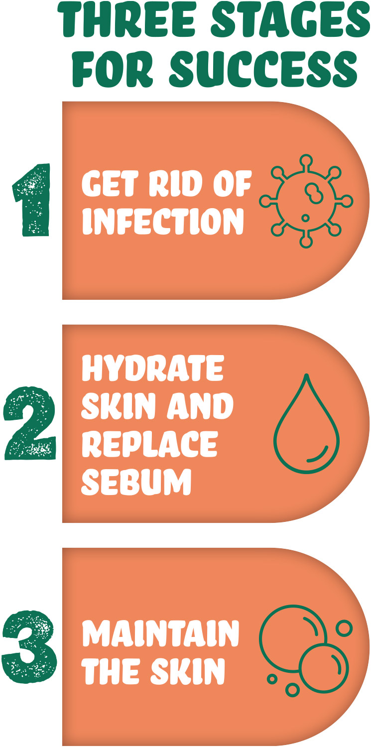 an informational graphic depicting the three stages of handling Ichthyosis: 1, get rid of the infection; 2, hydrate skin and replace sebum; 3, maintain the skin
