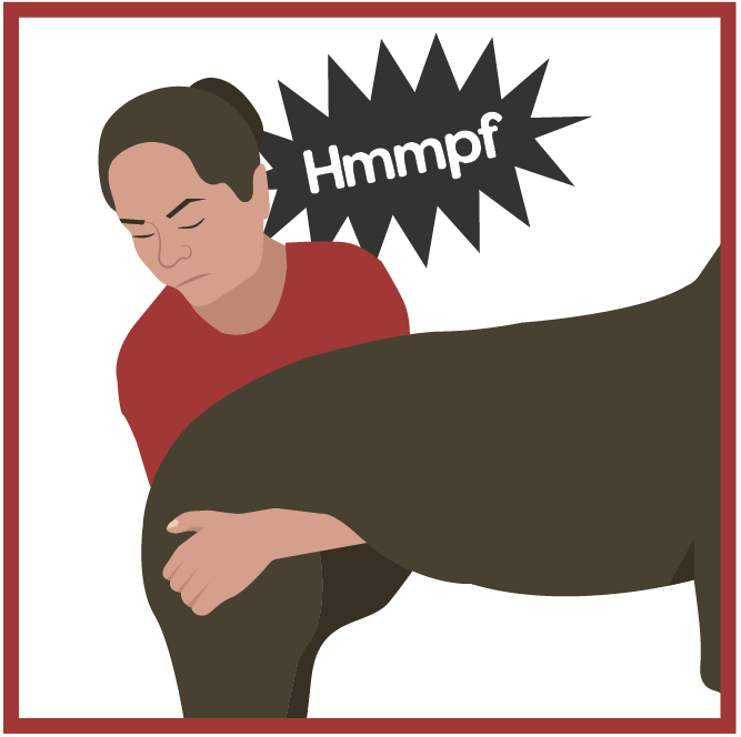 Illustration of woman trying to lift back end of dog with the word Hmmpf