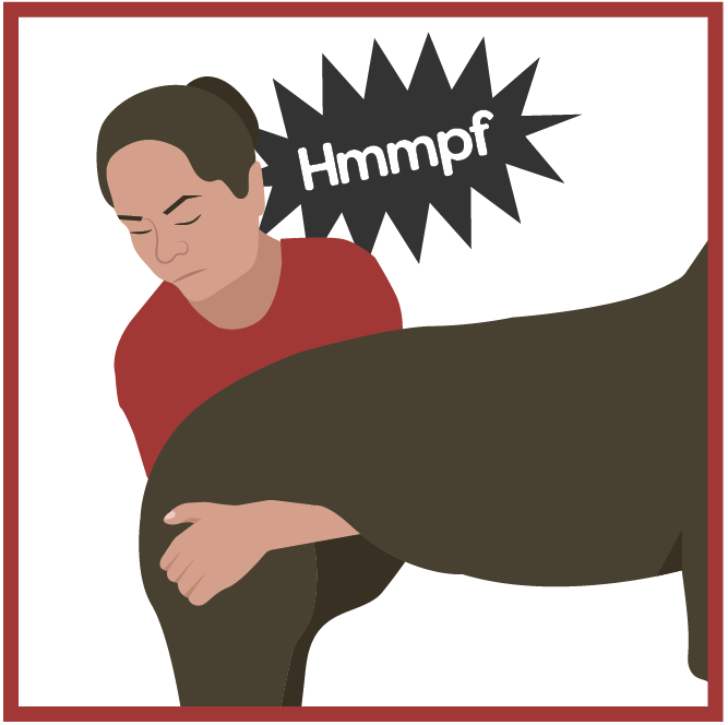 Illustration of woman trying to lift back end of dog with the words Hmmpf