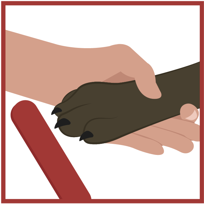 Illustration of hand holding dog paw and file