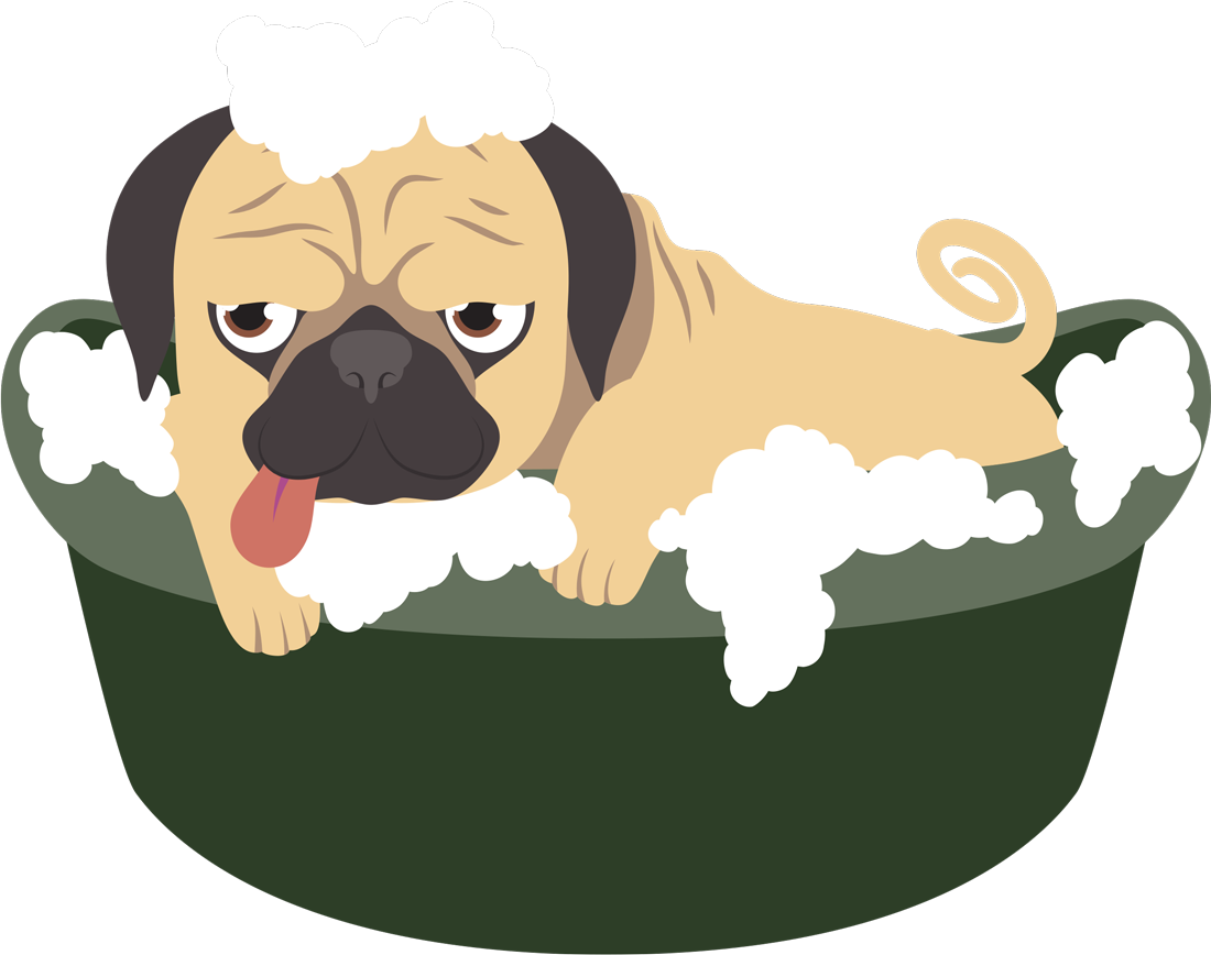 Vector image of a pug covered in suds taking a bath in small tub