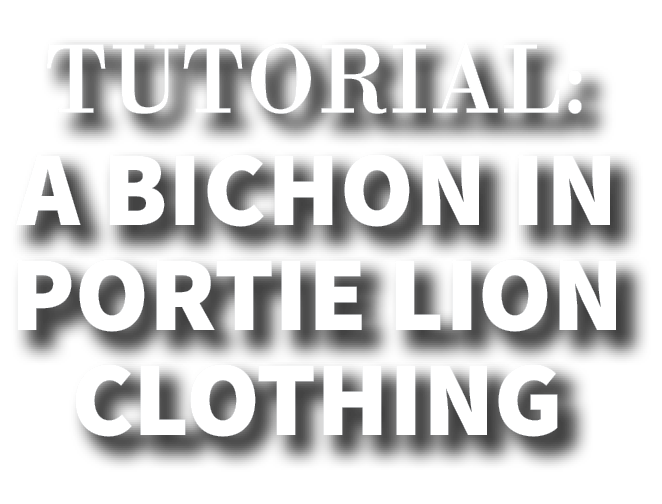Tutorial: A Bichon in Portie Lion Clothing