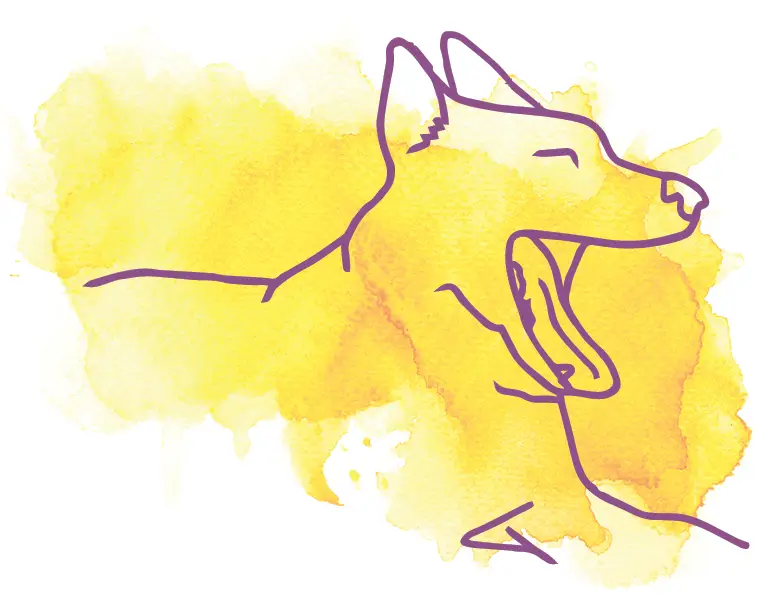 Watercolor illustration of dog yawning