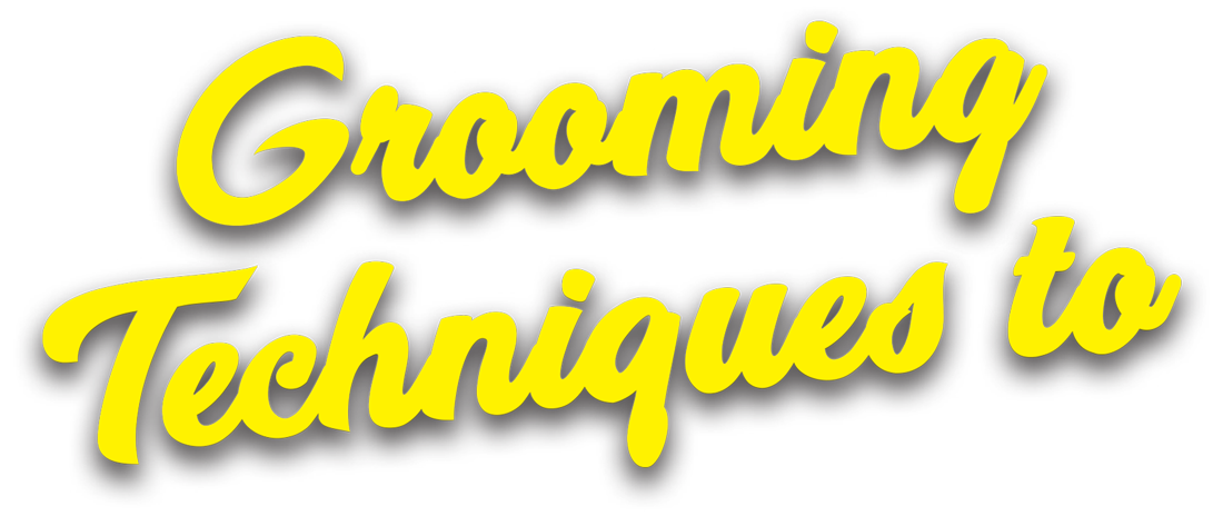 "Grooming Techniques to.." in yellow font