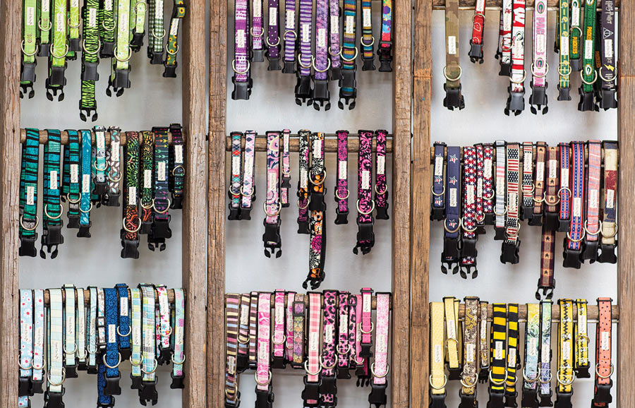 different patterned dog collars sorted by color