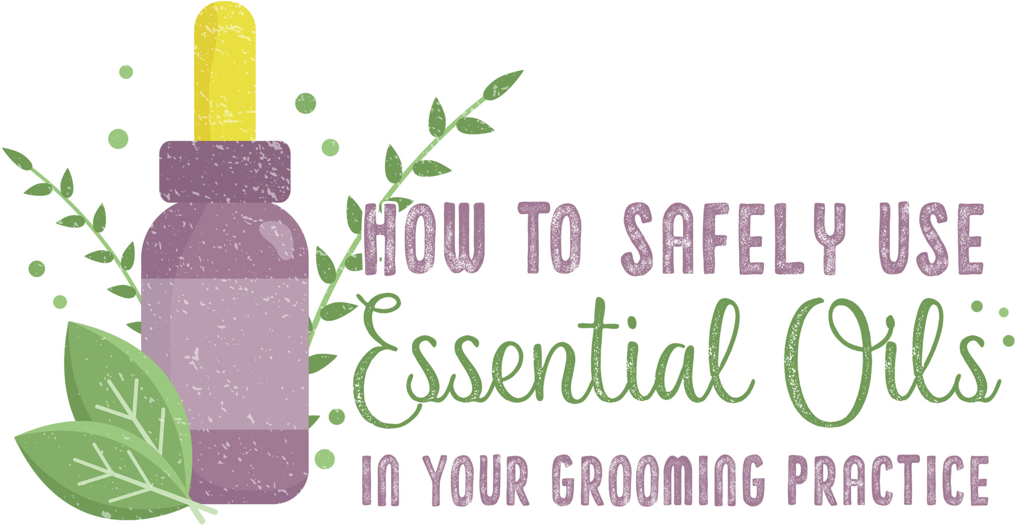 How to Safely Use Essential Oils in Your Grooming Practice typography