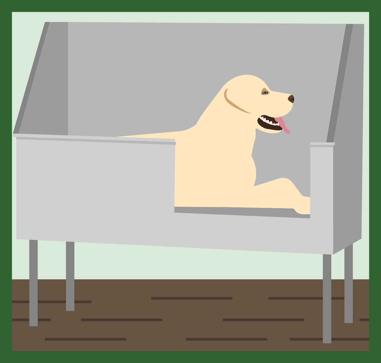 Illustration of a golden retriever in a groomers bathing tub