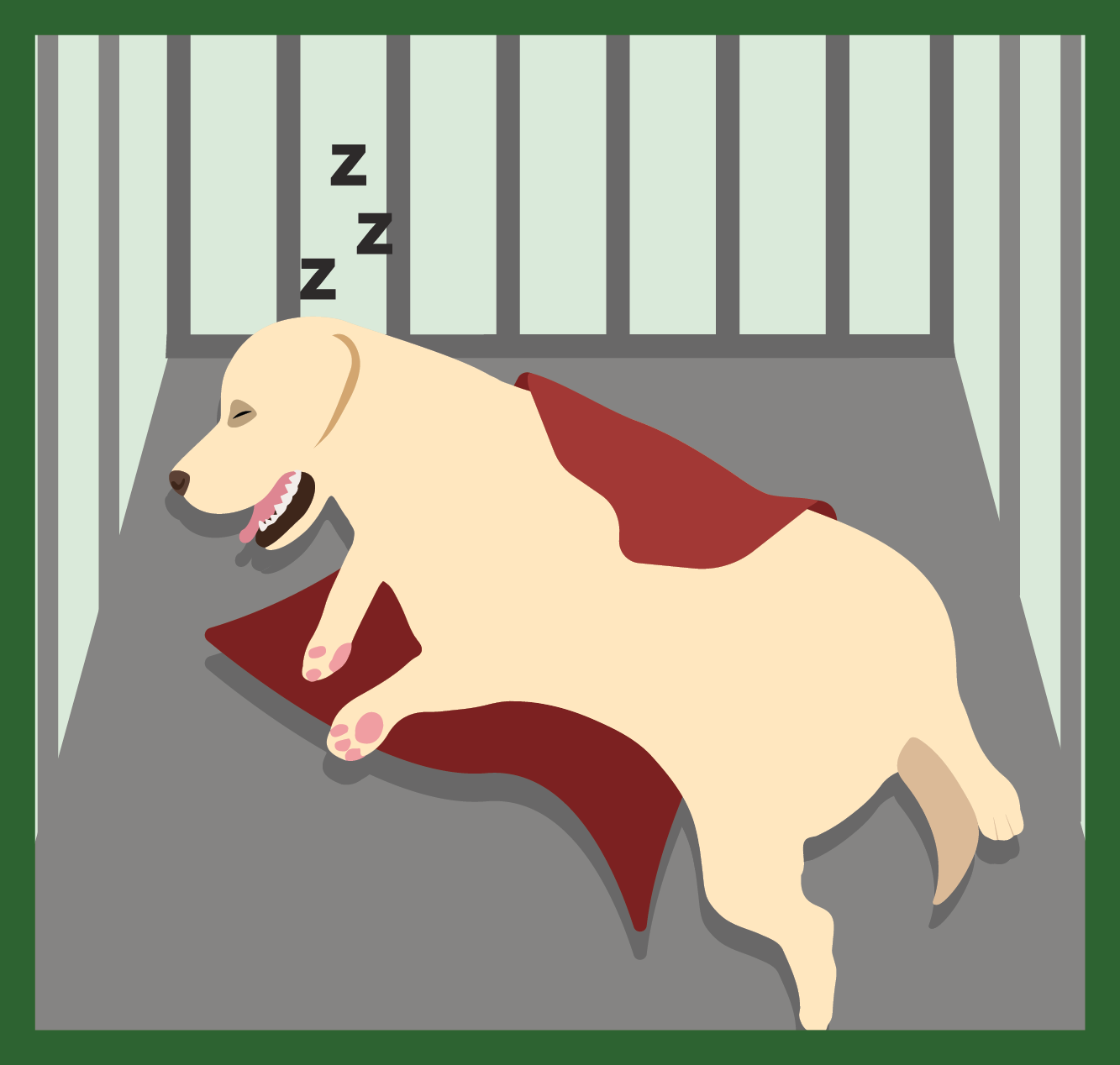 Illustration of a golden retriever sleeping in a crate