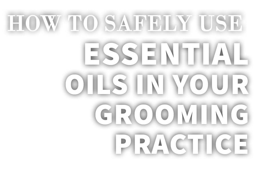 How to Safely Use Essential Oils in Your Grooming Practice