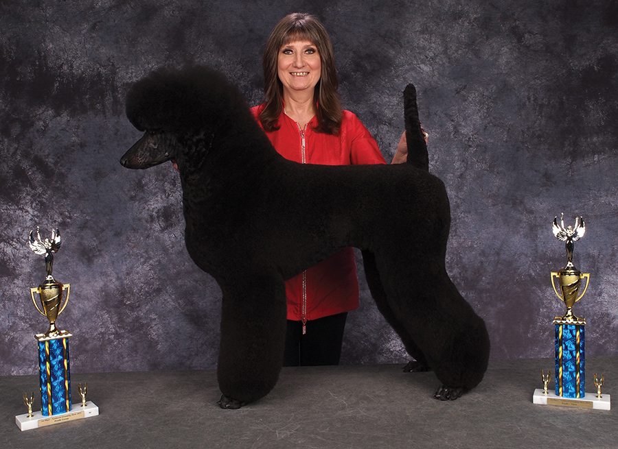 Jackie Boulton Posing with a black poodle 
