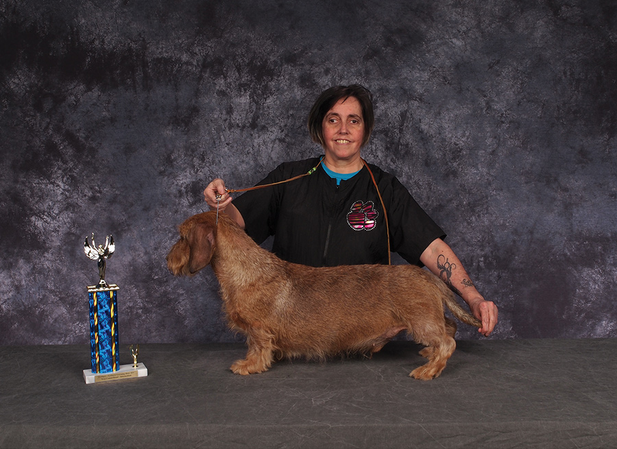 Toni Mendenhall Posing with a brown dachsund