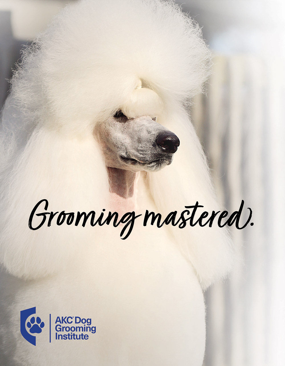 AKC Dog Grooming Institute Advertisement