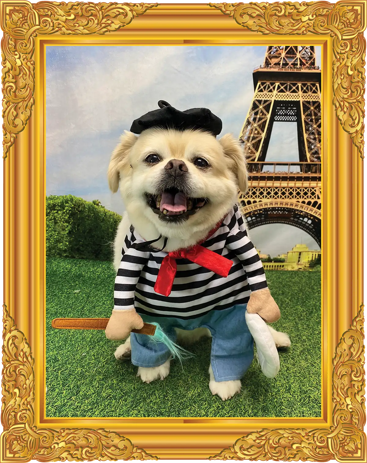 Beethoven dressed in french style clothing with a gold frame