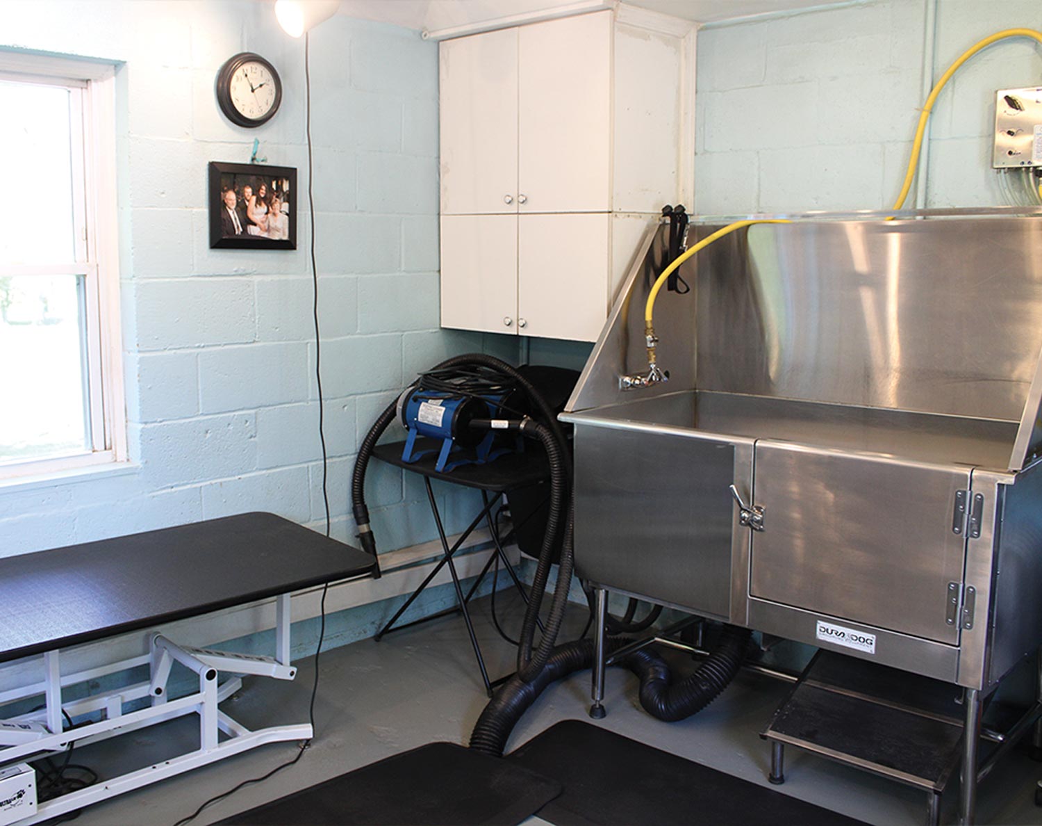 view of Hannah Ziegler's grooming station with an adjustable table and a canine sink and bath