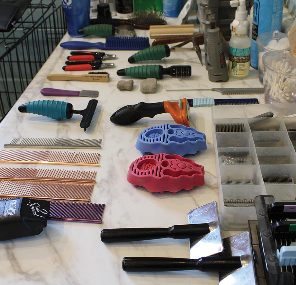 various grooming tools organized on a table