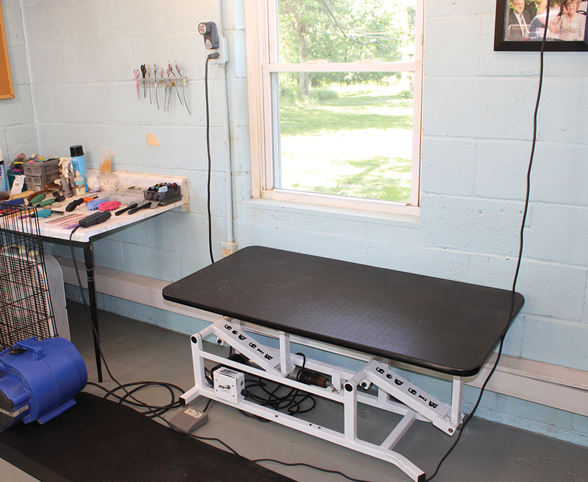 full view of Hannah Ziegler's grooming work table next to a large window