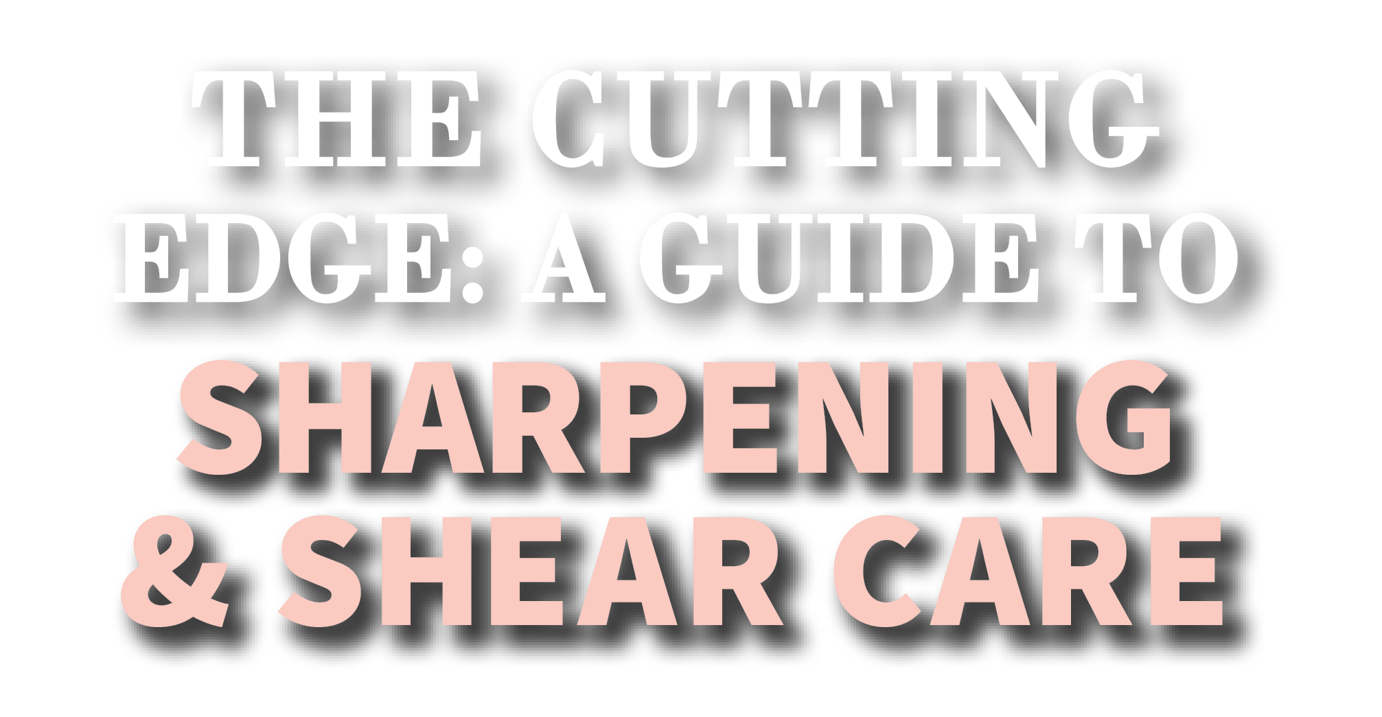 The Cutting Edge: A Guide to Sharpening & Shear Care