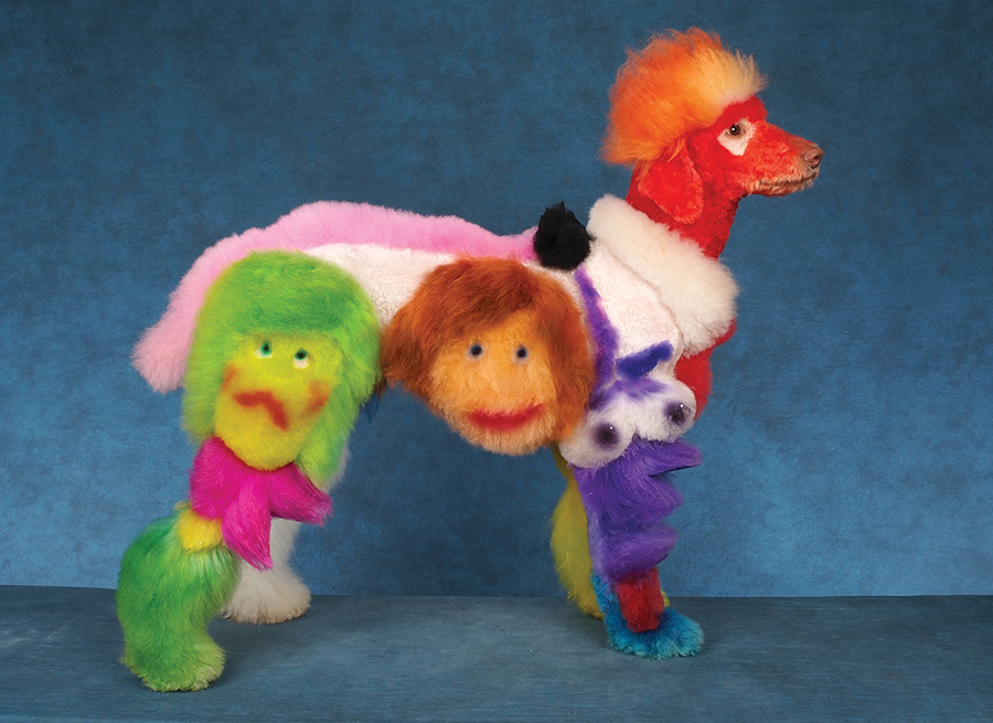 A styled dog