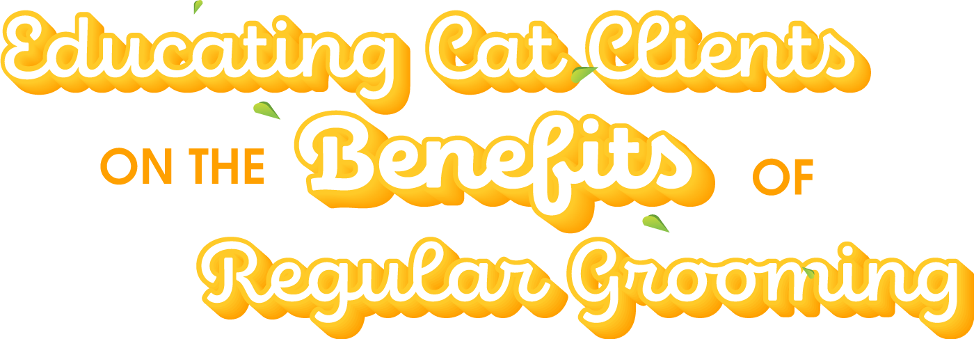 "Educating Cat Clients on the Benefits of Regular Grooming"