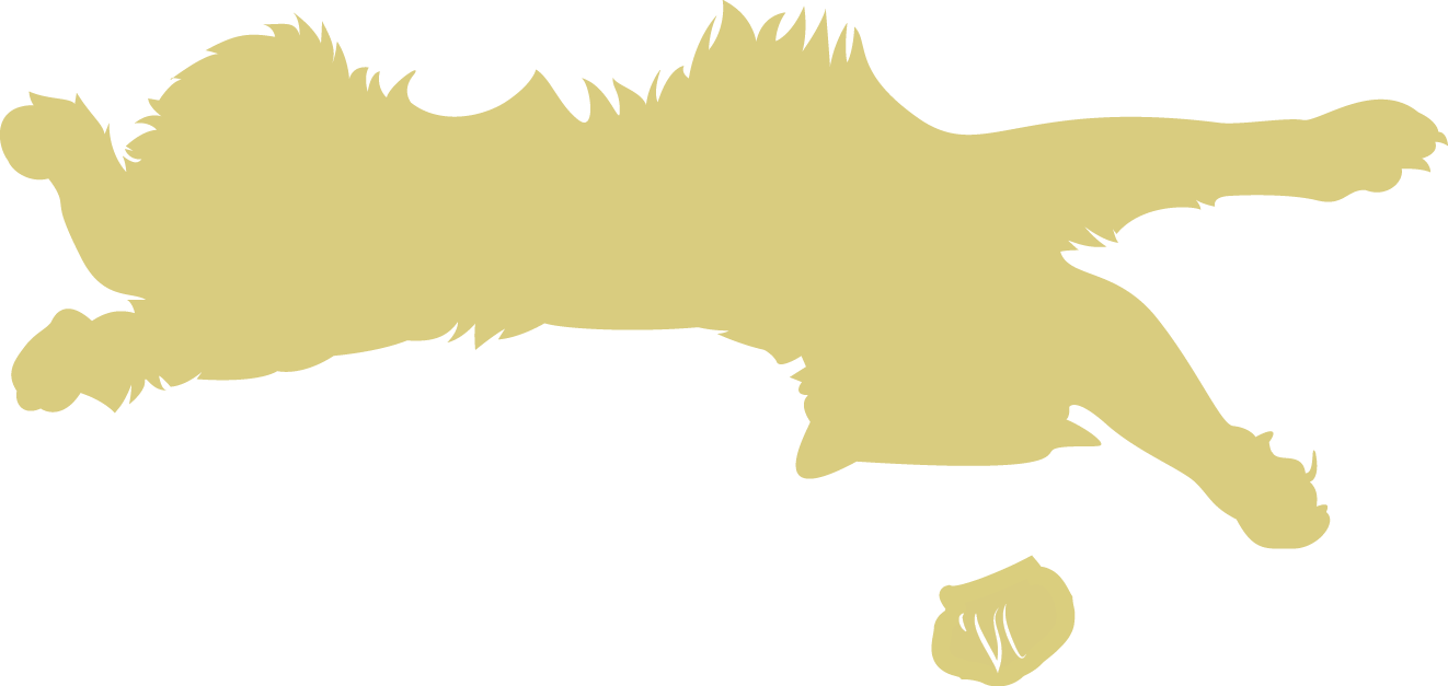 Illustration of cat laying down
