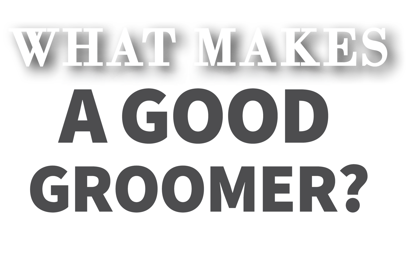 What Makes a Good Groomer?
