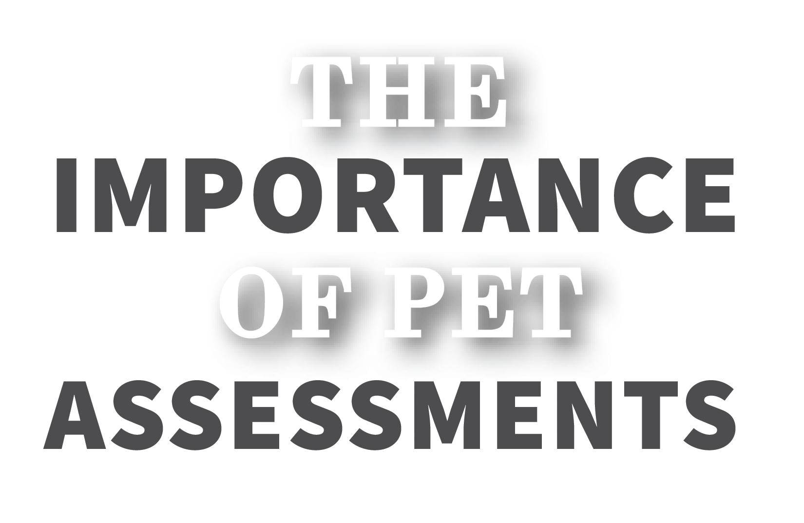 The Importance of Pet Assessments