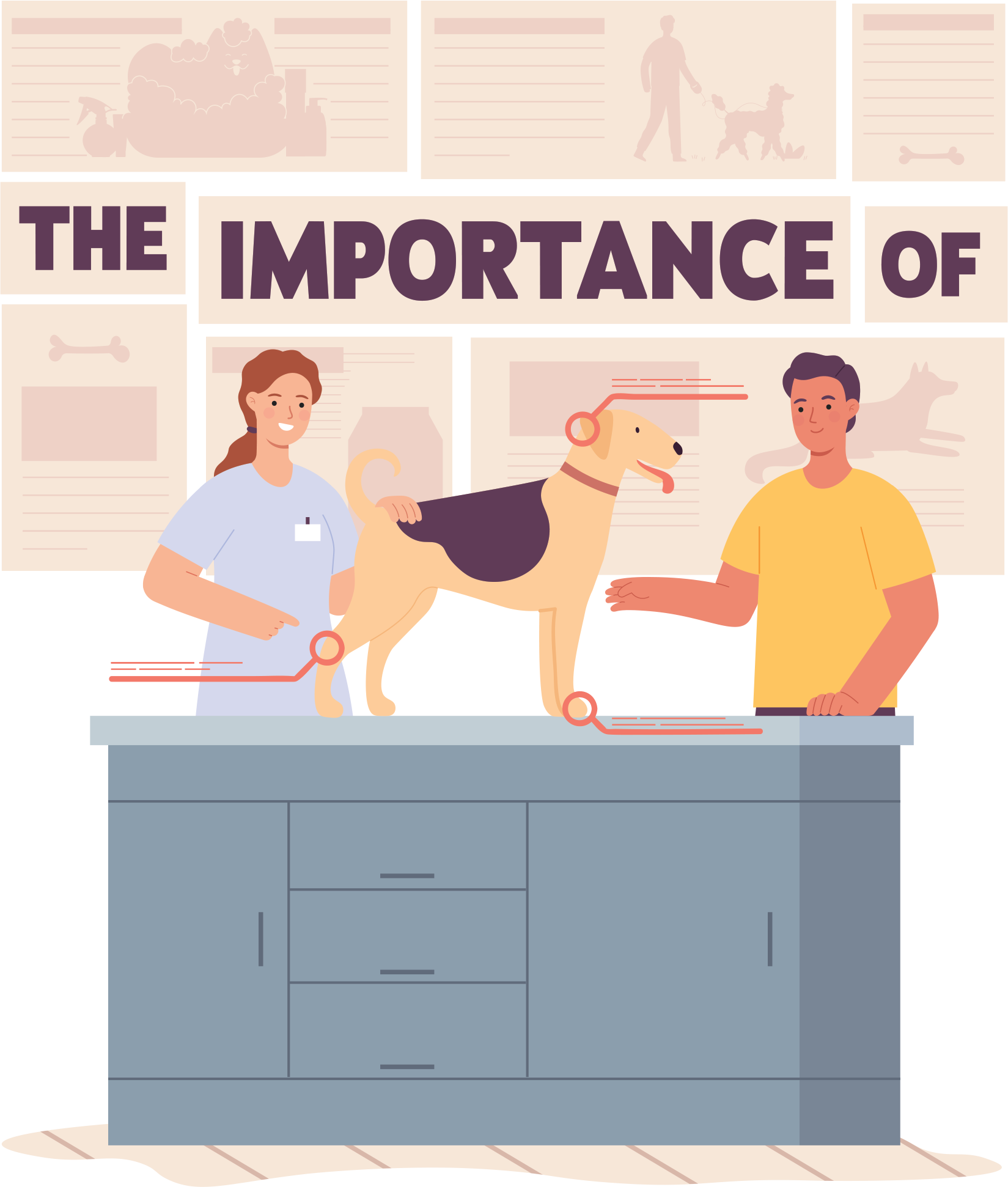 The Importance Of