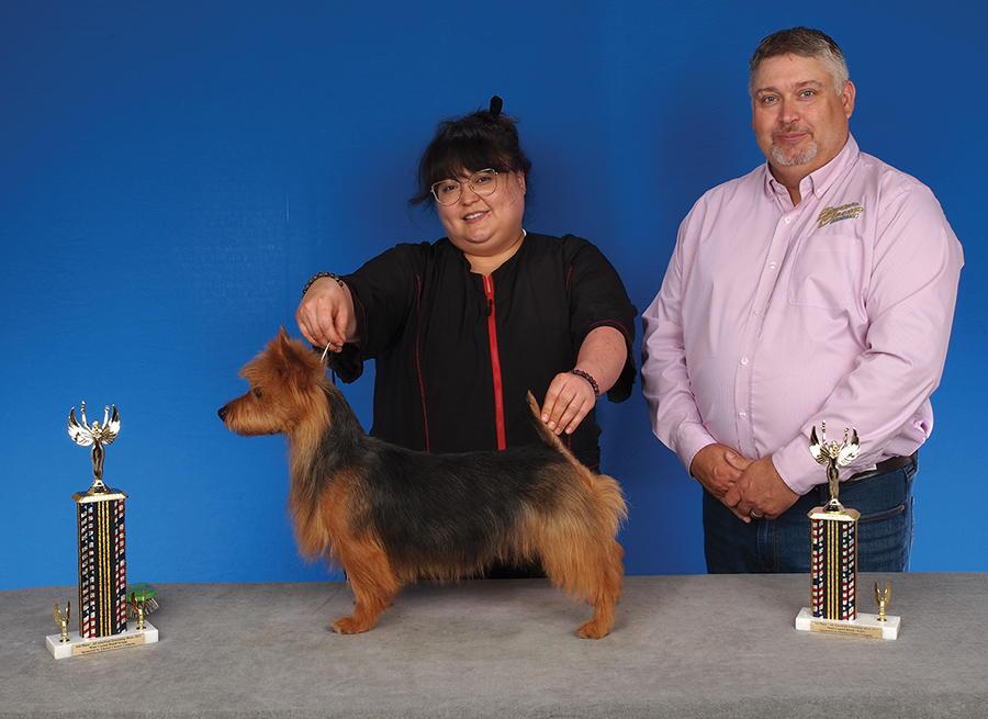 1st wire entry Sophia Staples