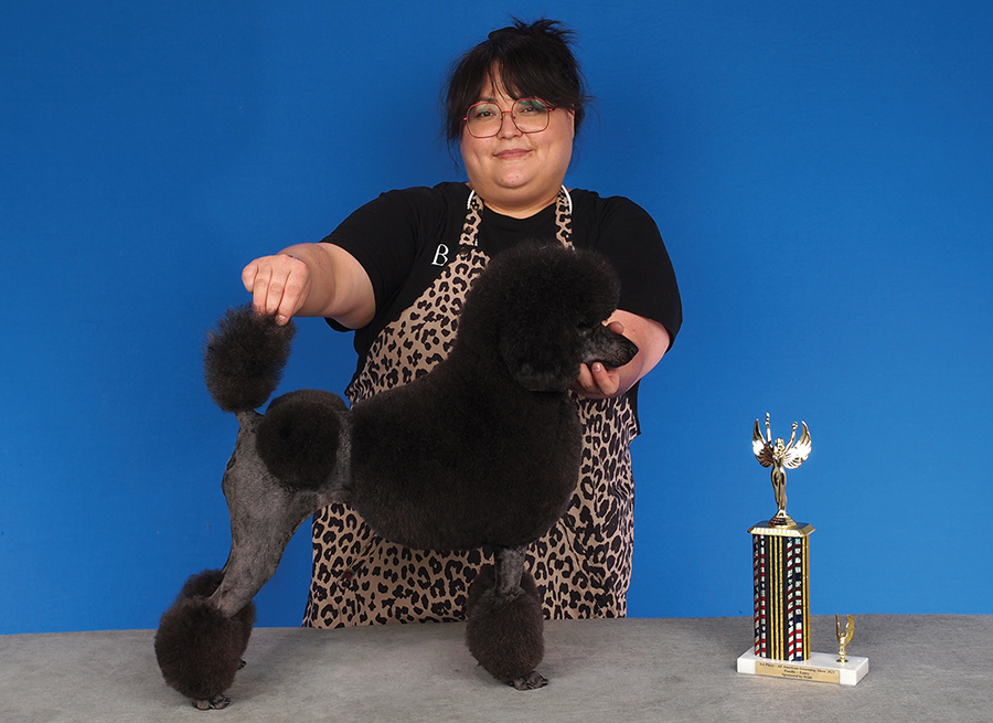 1st poodle entry Sophia Staples