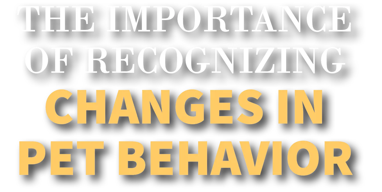 The importance of recognizing changes in pet behavior