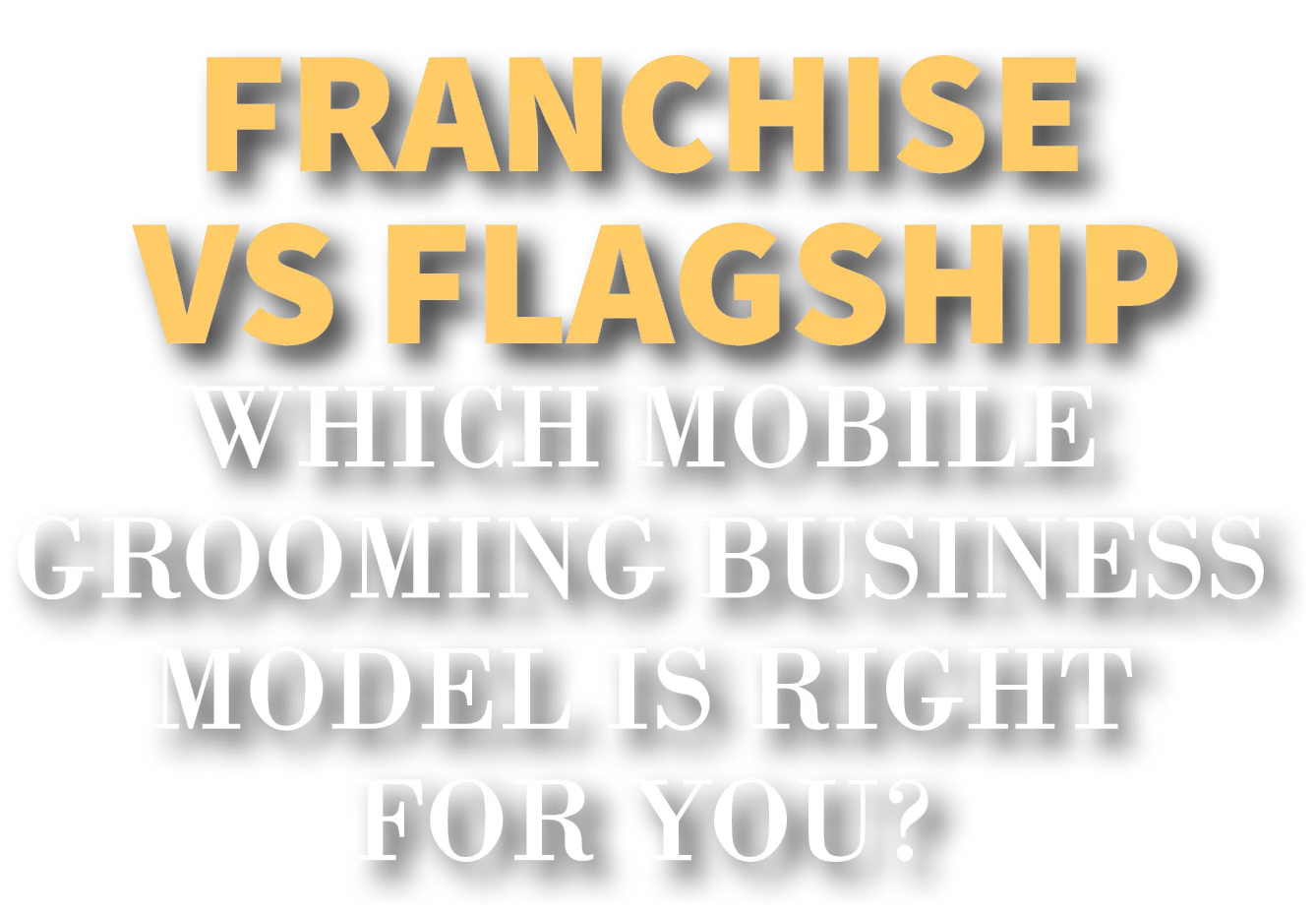 Franchise vs Flagship Which Mobile Grooming Model is right for you?
