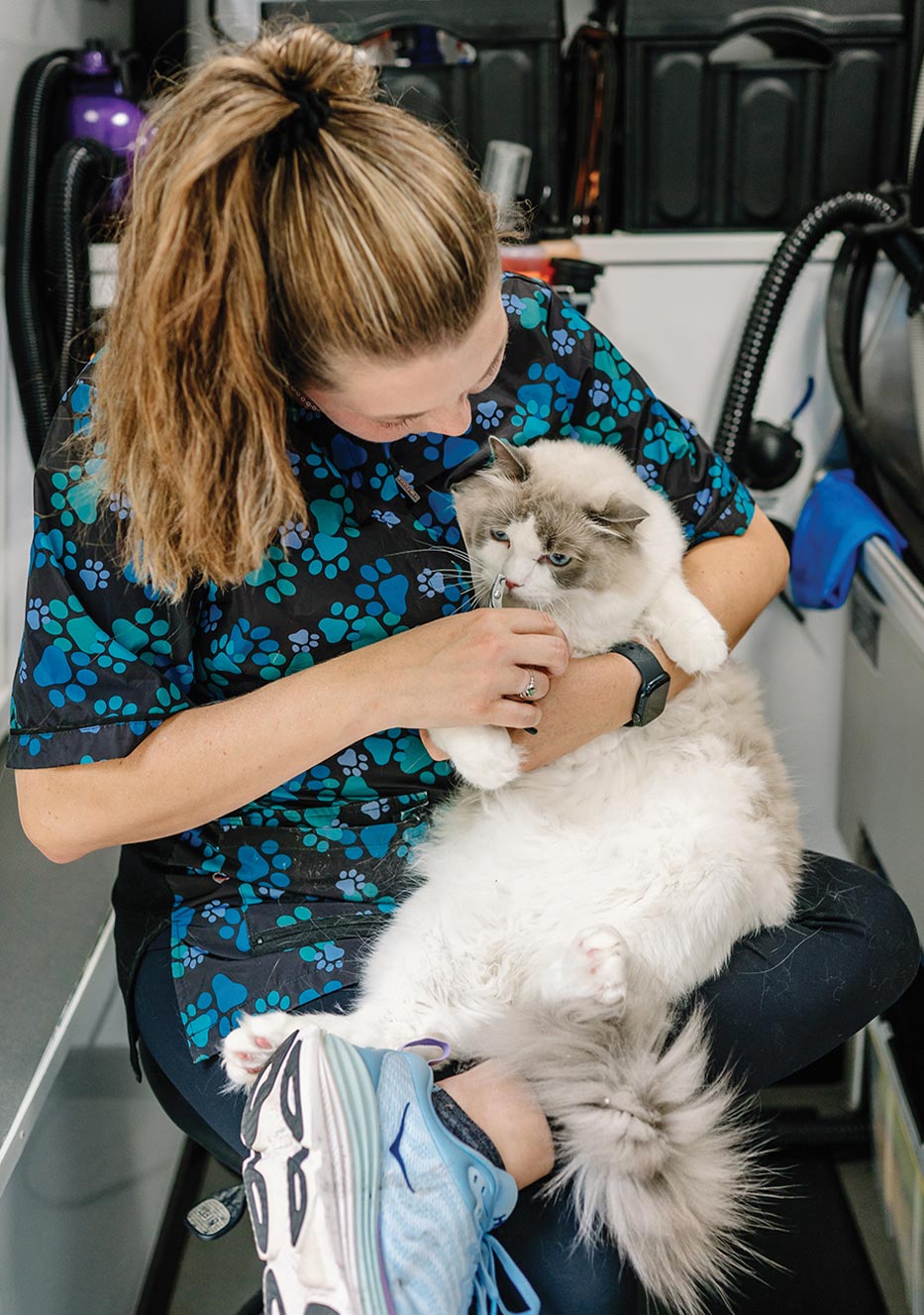 a seated McKenna carefully holds a white long haired blue eyed cat during a grooming session
