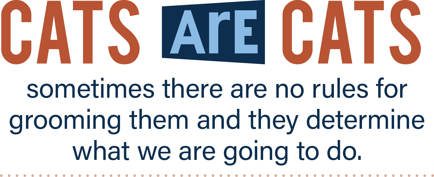Cats are cats; sometimes there are no rules for grooming them and they determine what we are going to do.
