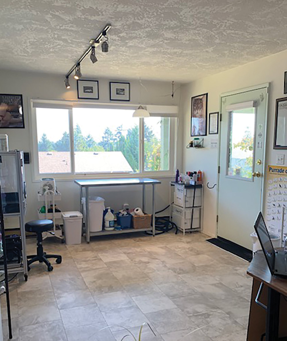 interior view of the workroom at Whisker Tales: Cat Grooming