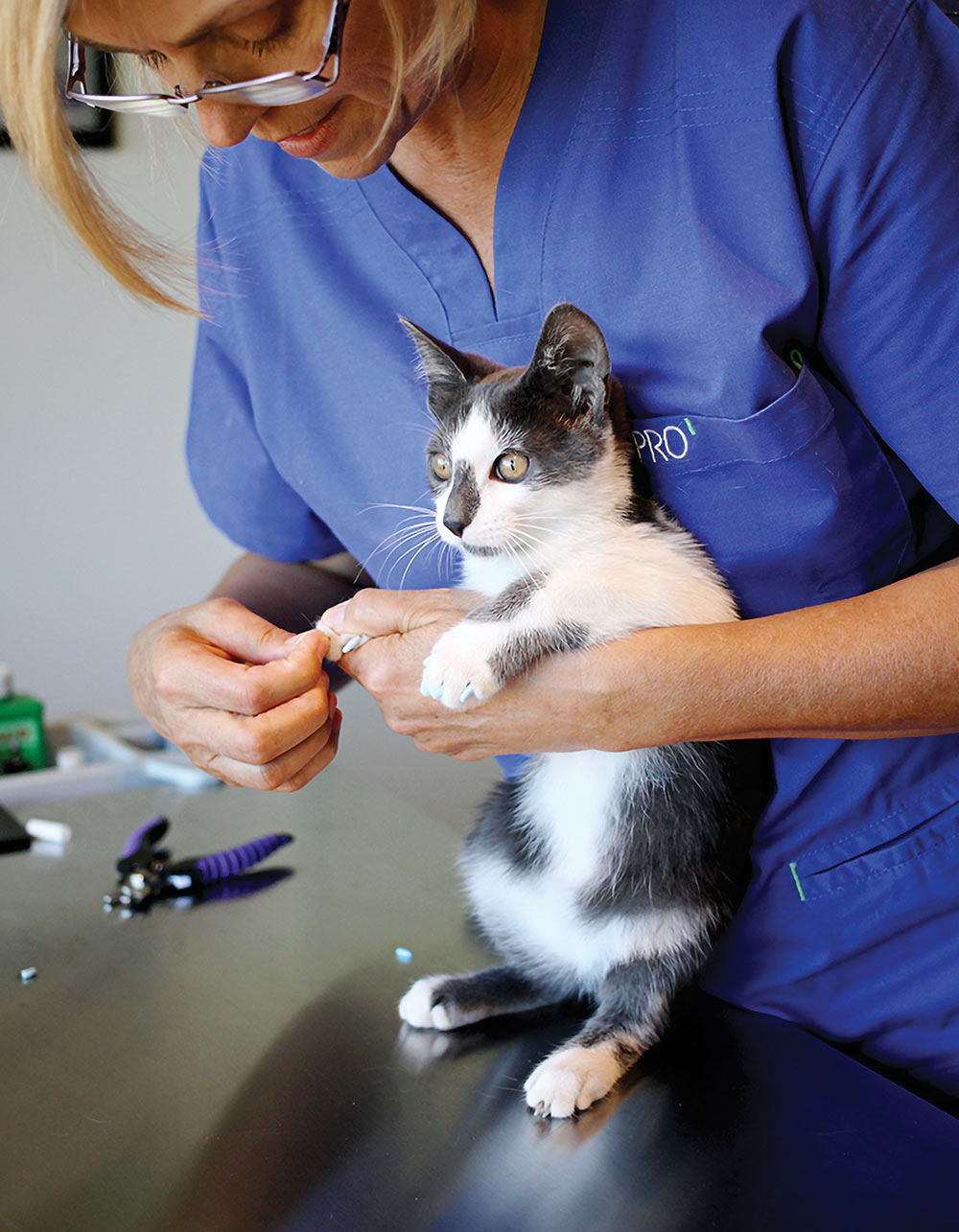 Debra Norton wears scrubs and gently grasps a black and white domestic short-haired cat while trimming its claws at a grooming table