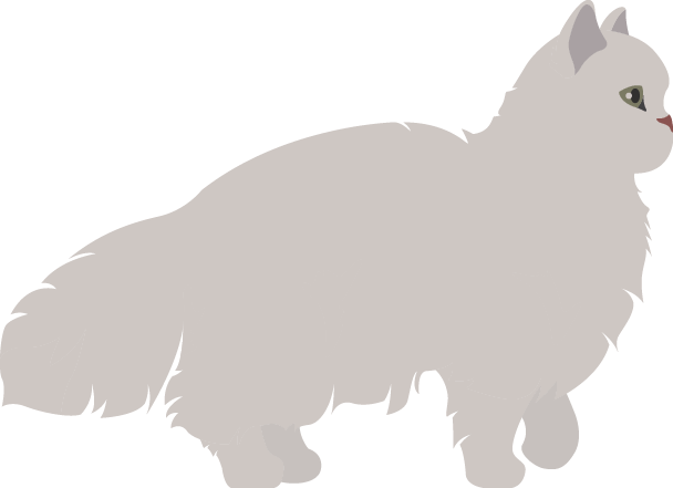 Vector of a Persian cat