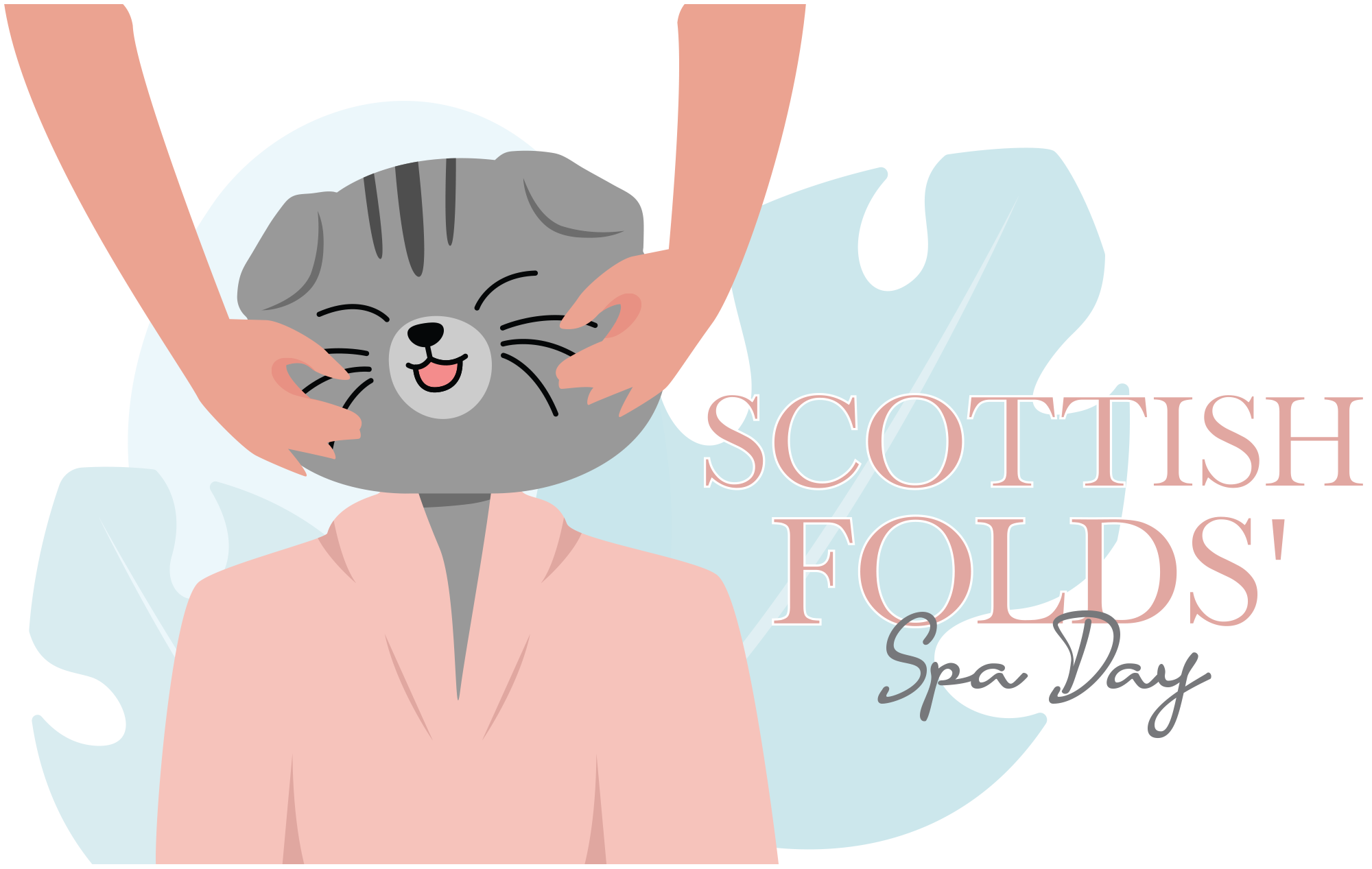 Vector minimalist illustration of a person's hands touching a cat's cheeks as the cat is relaxed and happy with the cat's head resembling a person's head plus the cat is wearing a pink spa robe alongside typographic title Scottish Folds' Spa Day