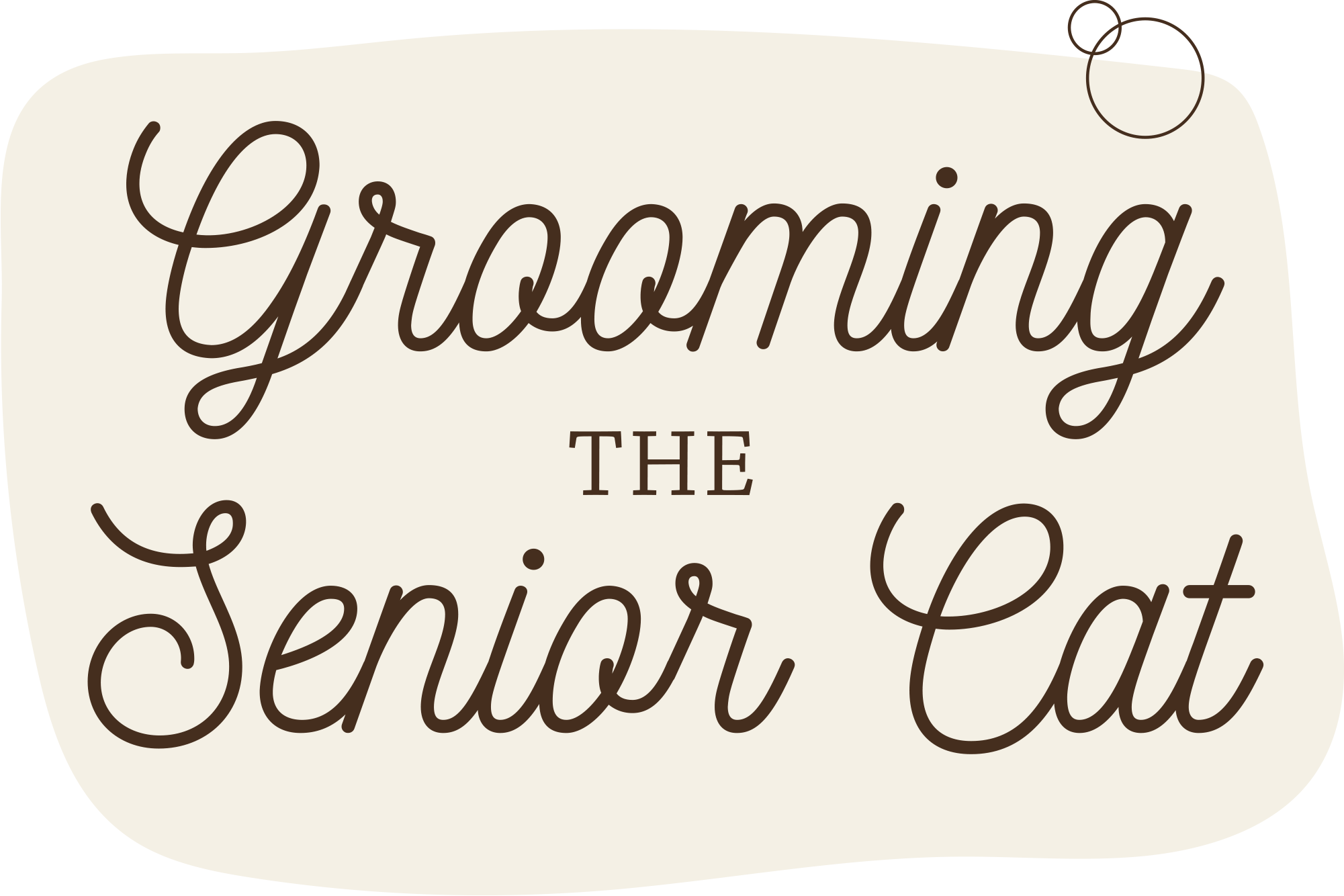 Grooming the Senior Cat