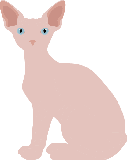 Vector of a Sphynx cat