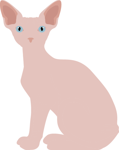 Vector of a Sphynx cat